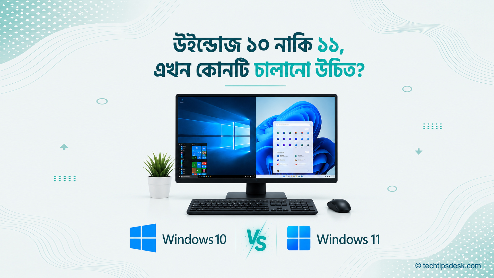 Windows 11