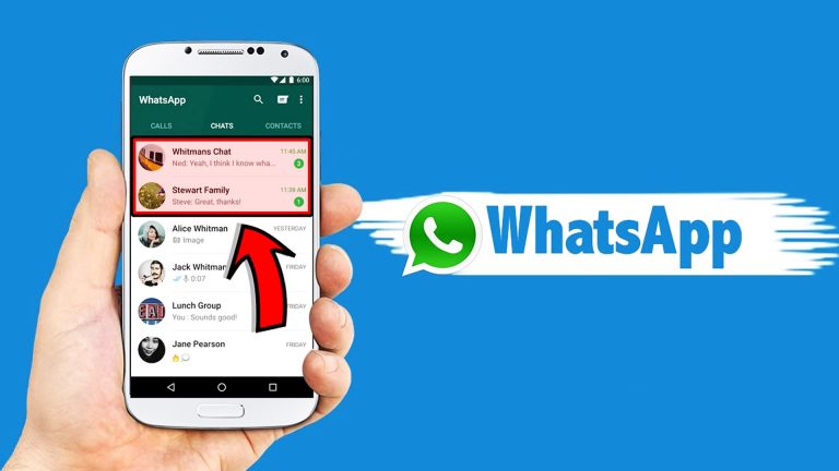 হোয়াটসঅ্যাপে ডিলিট হওয়া চ্যাট