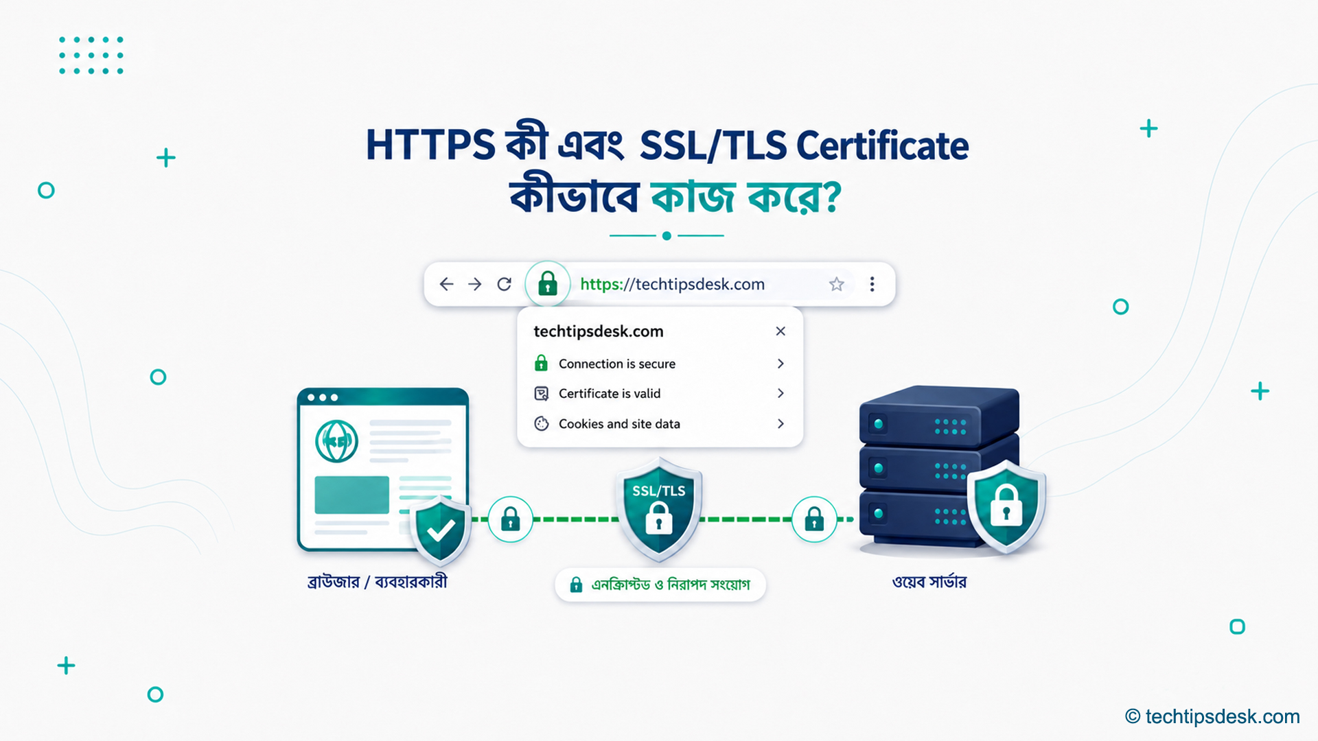 HTTPS ও SSL/TLS Certificate-এর মাধ্যমে Browser থেকে Web Server পর্যন্ত নিরাপদ সংযোগের চিত্র