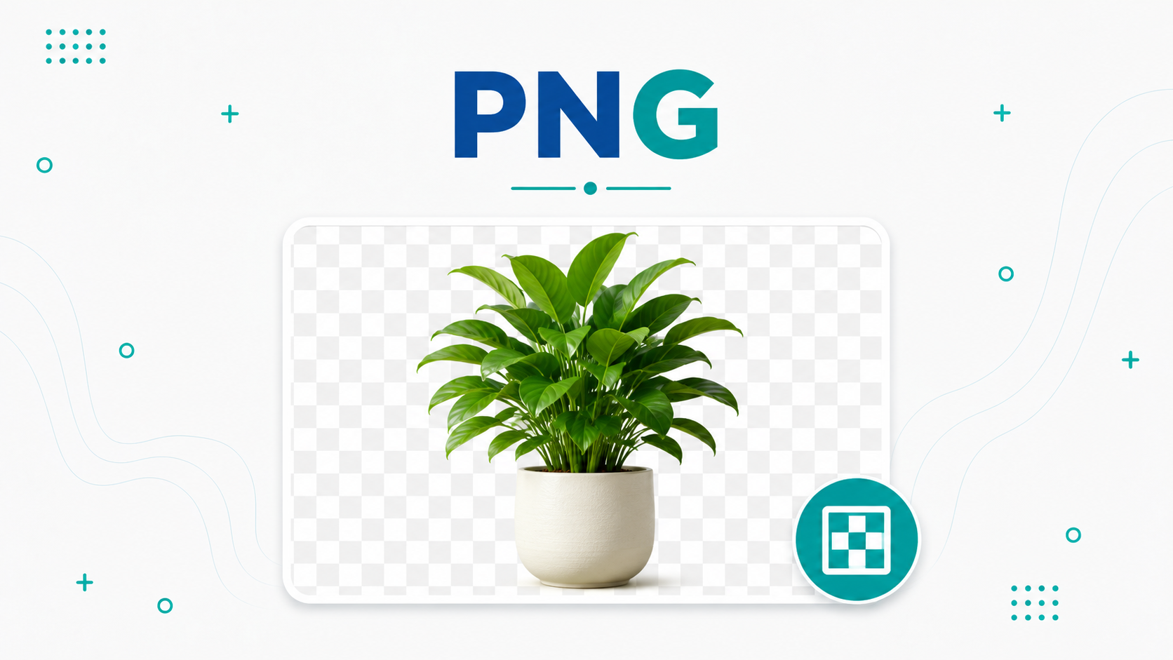 স্বচ্ছ পটভূমির ধারণাসহ টবের গাছ দিয়ে PNG ইমেজ ফরম্যাট দেখানো হয়েছে স্বচ্ছ পটভূমির ধারণাসহ টবের গাছ দিয়ে PNG ইমেজ ফরম্যাট দেখানো হয়েছে
